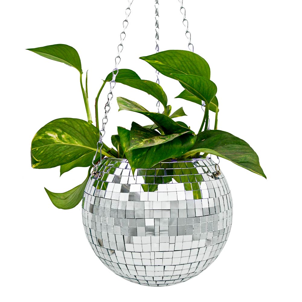 Hangpot Discobal