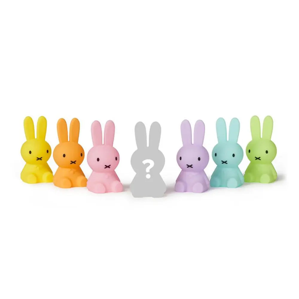 Lampje Nijntje Blind Box - Mr. Maria