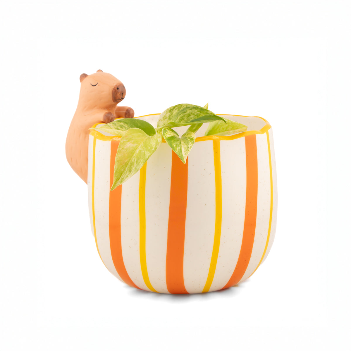Pflanztopf Neugieriges Capybara – Sass & Belle
