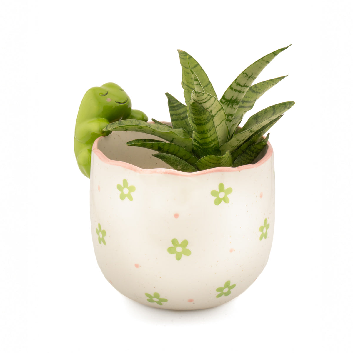 Pflanztopf Guckender Frosch – Sass & Belle