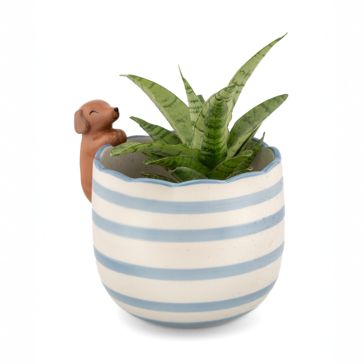 Plantenpot Glurende Teckel - Sass & Belle