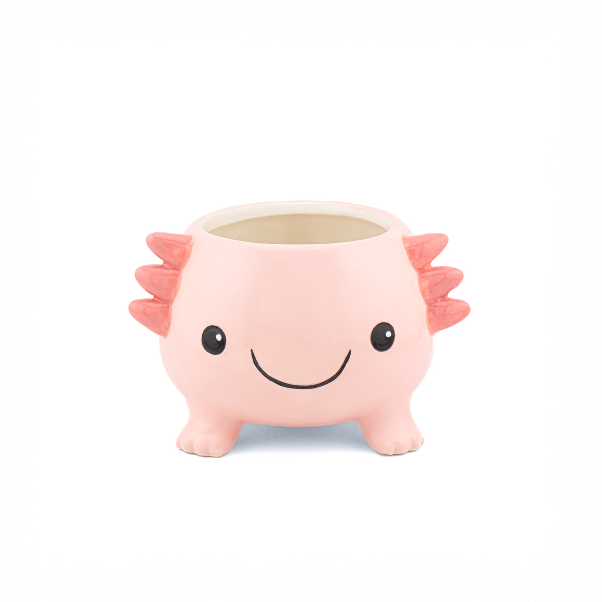 Pflanztopf Axolotl – Sass & Belle