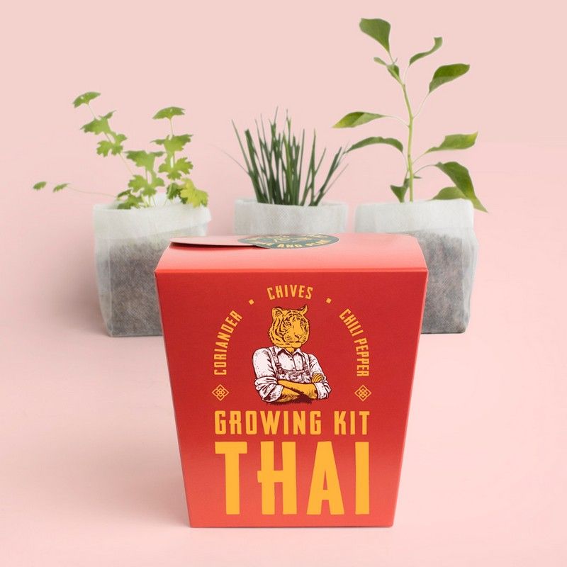 Anzuchtset Thailändische Küche