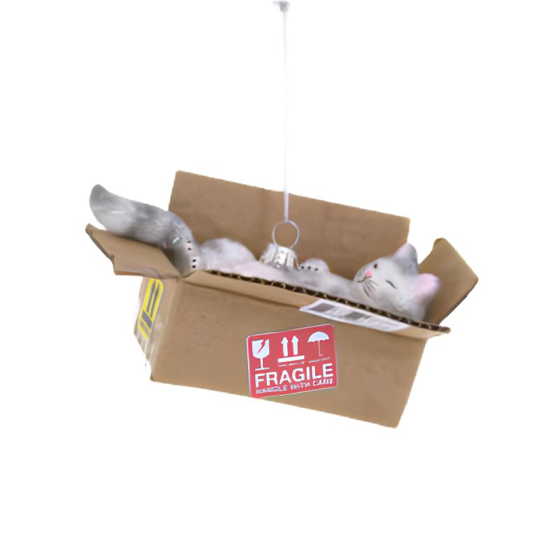 Christmas Ornament Cat In A Box - Cody Foster