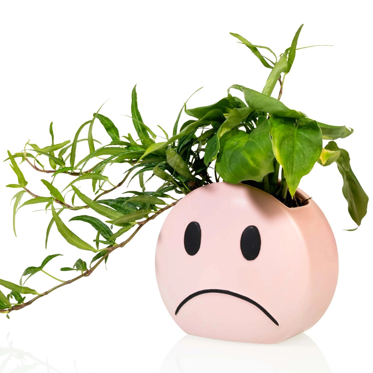 Plantenpot Mood - Bitten